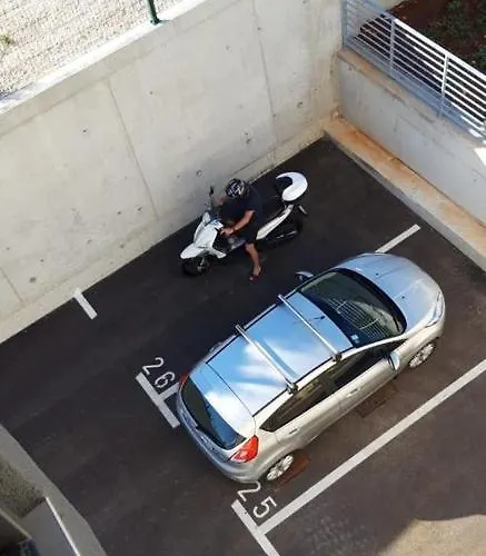 Meladica * 扎达尔